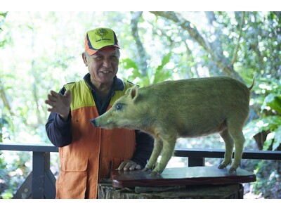 【星野リゾート　西表島ホテル】西表島の自然と文化を、イノシシ猟師から学ぶ「カマイ狩猟文化体験ツアー」実施｜2024年11月22日～2025年2月14日 毎週土曜日