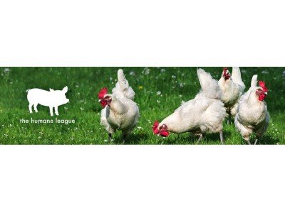 西洋フード・コンパスグループ株式会社 100%平飼い卵の調達移行を発表