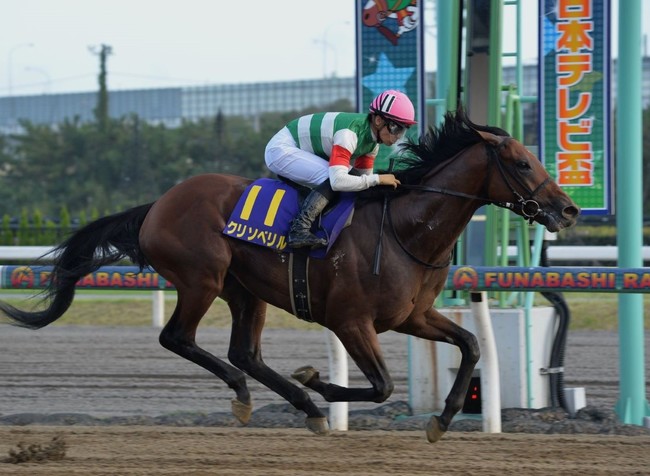 競馬 ライブ 中継 川崎