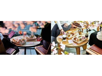目黒川の桜を一望する“桜の特等席”　昼と夜、2つの春を味わう予約制テラス体験「ROASTERY TOKYO SAKURA Terrace」が3月23日（月）より登場