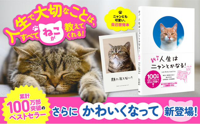 可愛いネコの写真に癒されついでに偉人の名言も学べる!