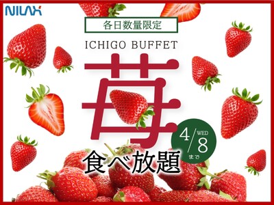 【 各日数量限定 至福の国産いちご食べ放題!!】4/8迄！大好評企画が再び登場！『ニラックスブッフェ』にて、時間無制限で「国産いちご」の食べ放題が満喫できる特別コースがスタート！