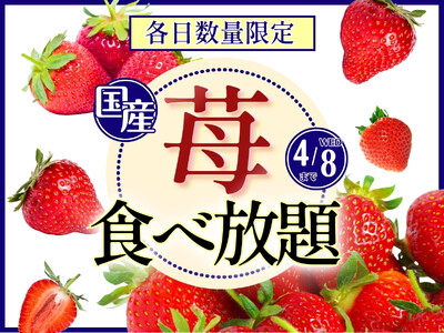 【 各日数量限定 ブッフェでいちご狩りを満喫!!】4/8迄！『ニラックスブッフェ』2店舗にて、時間無制限で「国産いちご」の食べ放題が満喫できる特別コースがスタート！