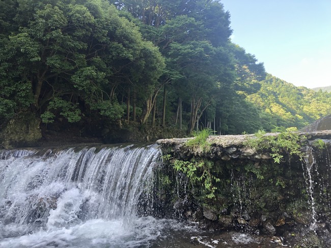 uɐsv~uDiscover Japanv~uChargeSPOTvɐʐ^ReXguDJivWFNgɐvJÁI