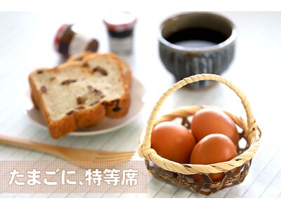 【新商品】3種類から選べる「虎竹手付きゆで卵かご」で食卓に温もりを添える