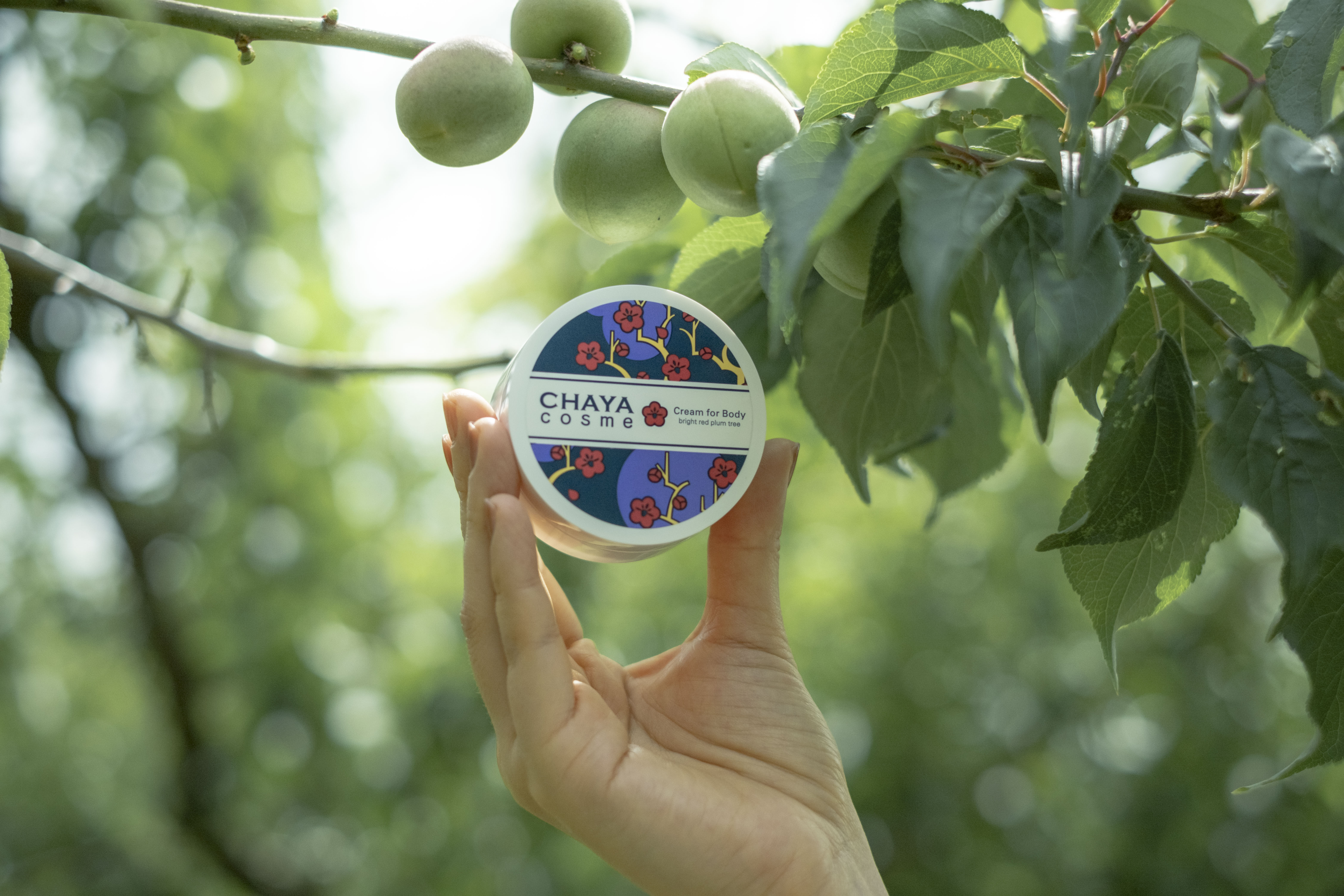 【業界初】金沢の美肌の知恵。希少な「金沢産・梅果実エキス」を贅沢配合した、CHAYA cosmeのボディクリームをリニューアル