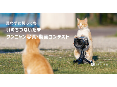 第17回 いのちつないだワンニャン写真動画コンテスト、作品募集スタート！犬や猫の殺処分ゼロを目指す公益法...
