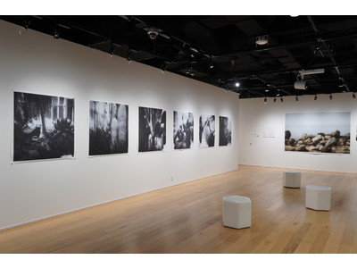 『第5回 epSITE Exhibition Award』に王 華写真展「Box of Dreams」を選出