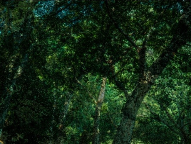 ꎓ푾ʐ^WwPhysisxGvTCgM[ŊJ