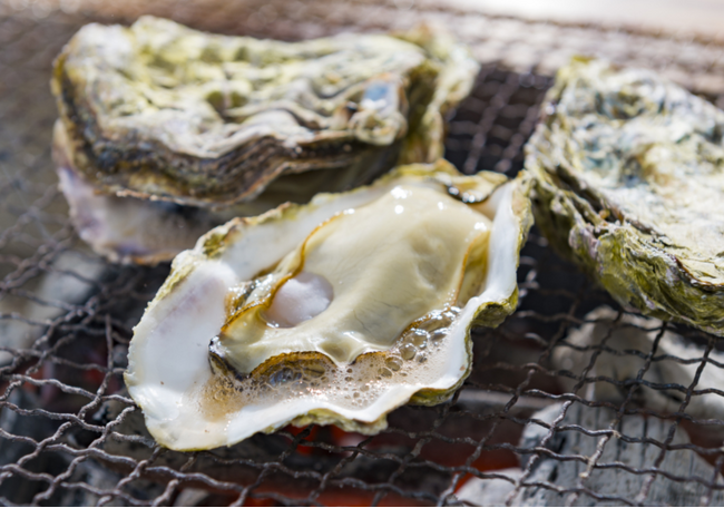 【東広島市】「清らかな海で育つ牡蠣を再び食卓へ！」クラウドファンディング型ふるさと納税を実施中