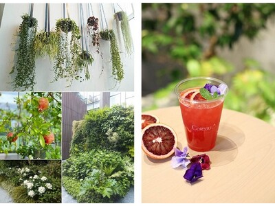 『チャコット代官山本店』春の日差しが心地良い4月は「Chacott Garden」を展開！