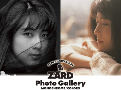入手困難】ZARD ART PHOTOGRAPHY PANEL の通販 by ☆うすまる