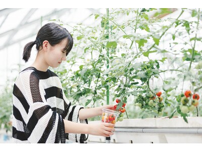 観光農園「SYMBIOSIS FARM by YANMAR」が夏野菜収穫やピザ作りを体験できる夏季営業を開始