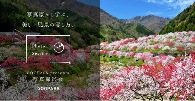 J̃TuXNuGOOPASSvA̐n qƃR{BeIԂ͎ʐ^ƂƉԓBe`Ԃ͎RɐBe