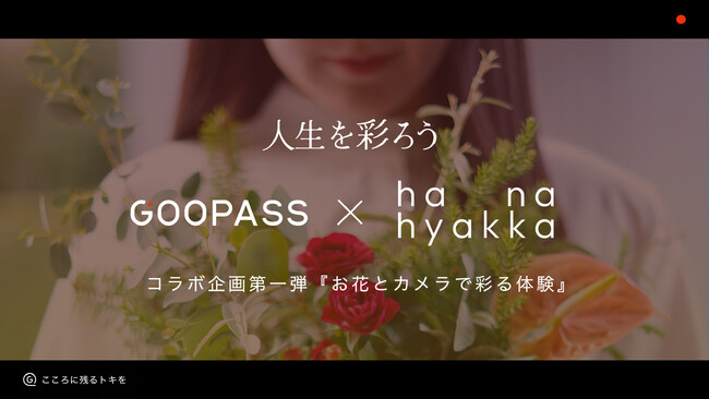 ɎcgL̃vbgtH[wGOOPASSx~ԂƋɂ閾邭Lȕ炵ƕnwWpEt[ER[|[VxR{ewԂƃJōʂ̌x񋟊Jn