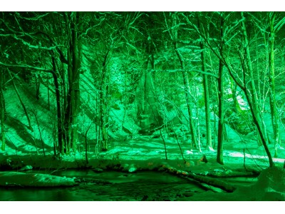 パナソニックが青森県十和田市「奥入瀬渓流」でLEDカラー投光器によるライトアップの実証実験を実施