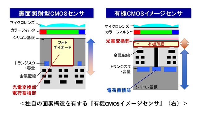 u摜ZVOW2022vxEoXgɎB\ȁwL@CMOSC[WZTZpx`pi\jbNu[X̓WTvƌǂ`
