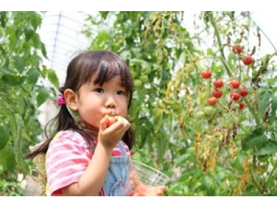 茨城県の体験型農業テーマパークで７月７日～８月３１日でサマーファームキャンプ開催