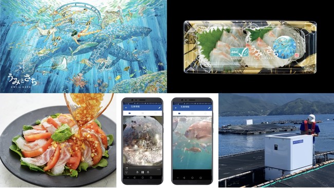 ウミトロン開発のAI搭載スマート給餌機で生育したサステナブルシーフード「うみとさち」ASC認証真鯛、「イオン」「イオンスタイル」約350店舗にて1万尾を限定販売