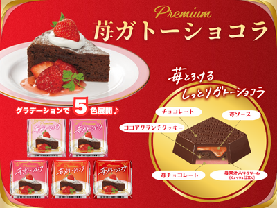 手軽にご褒美タイム♪甘酸っぱい苺ソースと本格的なしっとり食感！「チロルチョコ〈苺ガトーショコラ〉」新発売！