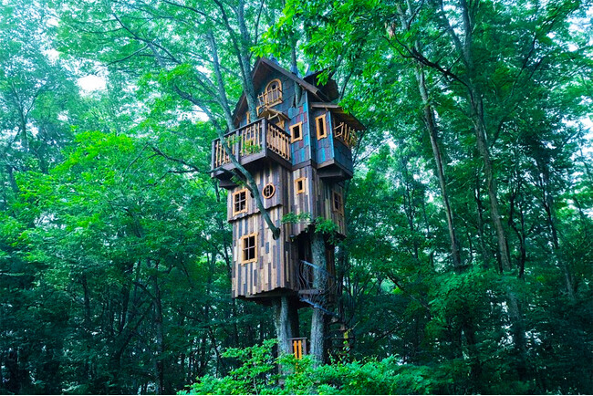 北軽井沢スウィートグラス、地域資源活用技術で創る高さ15m超のツリーハウス「ノッポ」お披露目