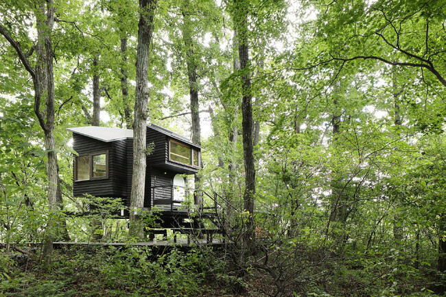 きたもっく協業の建築「暖居」が「2025年度 グッドデザイン・ベスト100」を受賞