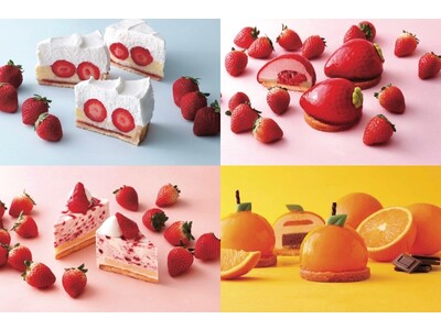 苺が美味しい春が来た！苺咲く春の新作ケーキ