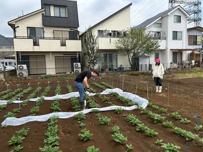自社運営の「鎌田圃場」で今季の栽培が本格化！ジャガイモからスタート