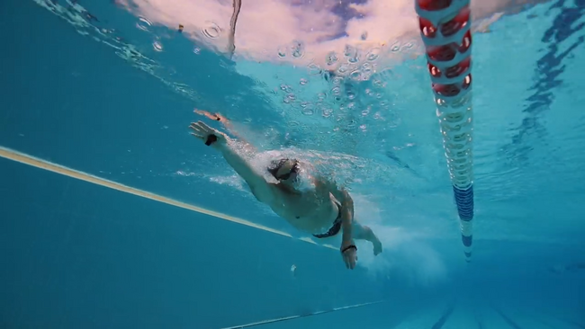 jEɂ炳ꂽf[^v "eo SwimBETTER" J̃hL^[[r[JI