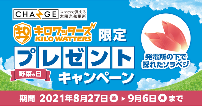 【野菜の日】ソーラーパネルの下で育てたミョウガをプレゼント「スマホで買える太陽光発電所CHANGE(チェンジ)」