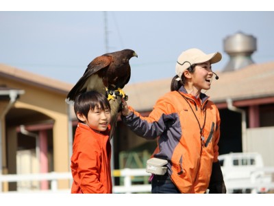 三浦半島で観られるのはここだけ！鳥たちが大空を飛び交う迫力の「バードショー」3月1日(金)より再演（横須賀市長井海の手公園 ソレイユの丘）