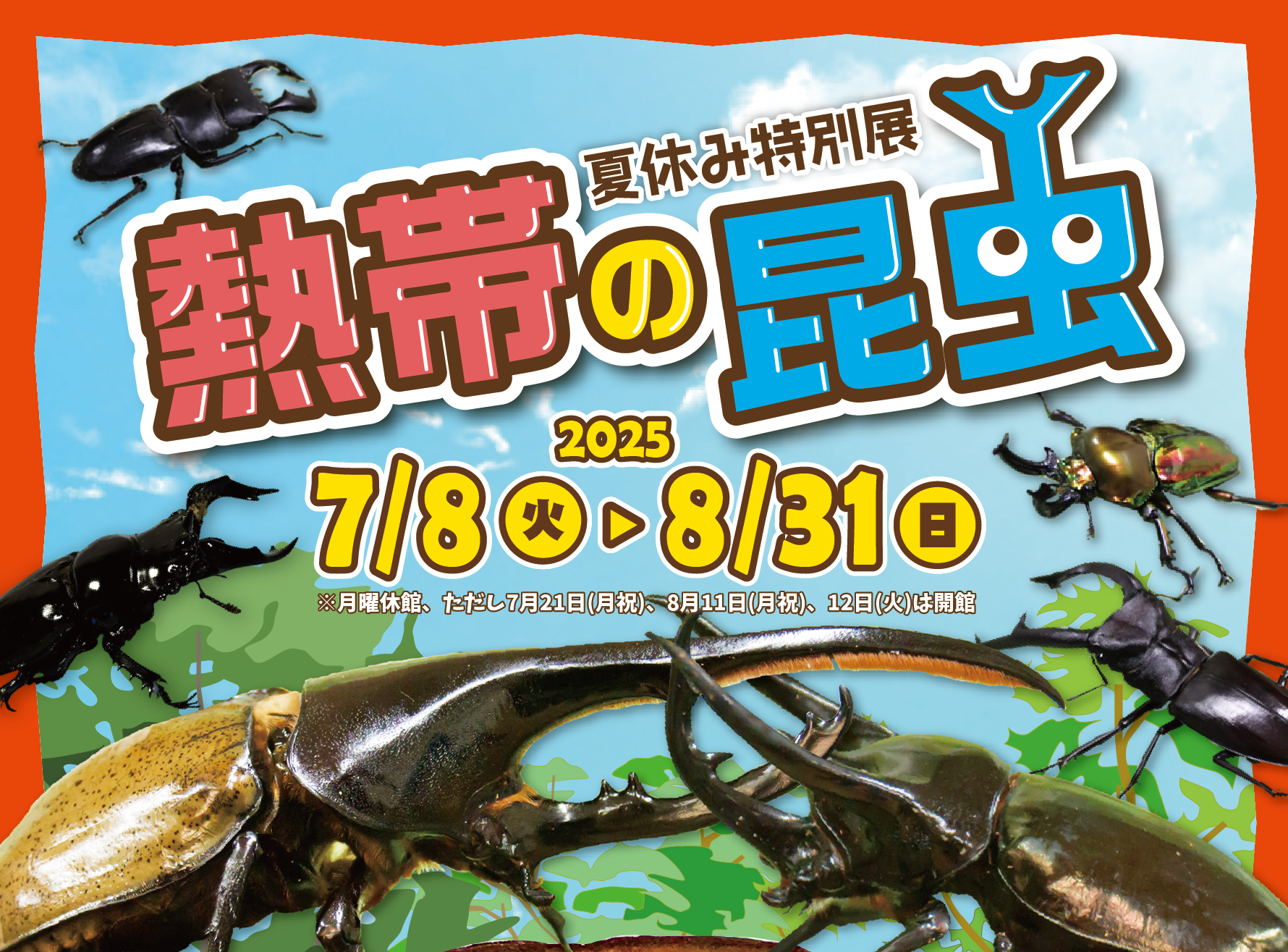 夏休みは小・中学生の入館無料！特別展「熱帯の昆虫2025」2025年7月8日（火）～8月31日（日）開催（板橋区立熱帯環境植物館）