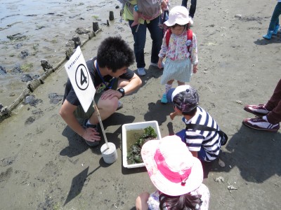 6月8日(土)・9日(日)は入館無料!市民とともに干潟を守る「谷津干潟の日フェスタ~まるごと味わう干潟の...