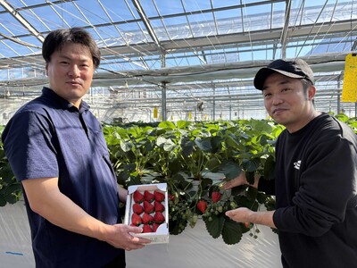 一期一会の出会いに感謝。秩父のいちごの魅力を発信するために武甲温泉で「いちごフェア」を開催。ご来館のお客さまにいちごプレゼントも