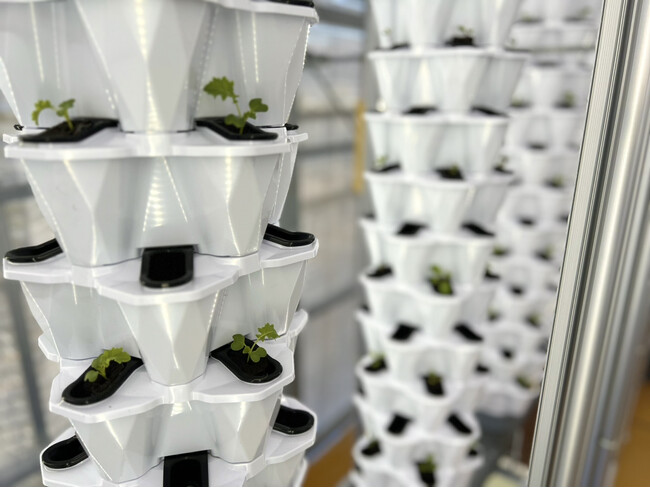 株式会社さかなとが埼玉県産サーモンの陸上養殖に挑戦。サーモン×アクアポニックス資源循環事業をスタートします