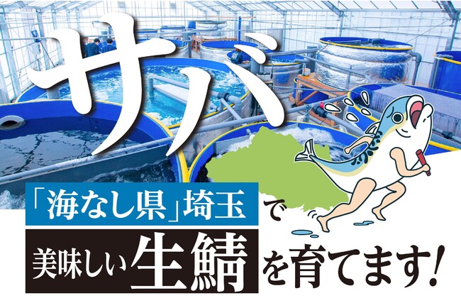 生サバを食べられる権利や、オリジナルグッズの販売も。海なし県埼玉の「温泉サバ陸上養殖場」がクラウドファンディングを実施