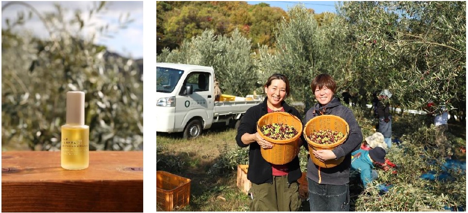 美容のためのオリーブを「育てる」小豆島に集った人々がつくる農家ならではの化粧品　美容用「井上誠耕園産　エッセンシャルオリーブオイル」