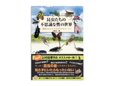 【QRコードで動画・音声の視聴もできる！　何でもアリの昆虫およそ100種の性を一挙公開！　新刊『昆虫たちの不思議な性の世界』】