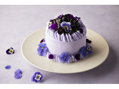 紫に恋するバレンタイン　オーガニックシュガーで仕立てた、花咲くフラワーケーキ「バレンタイン パープルホワイトチョコレート・ストロベリーショートケーキ」