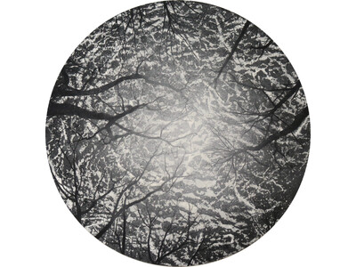 パリ在住の美術家・釘町彰が6mを超える最新作を発表。レトロスペクティブとしての個展を東京にて初開催。