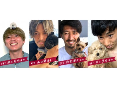 ヴィッセル神戸 ペット限定ファンクラブ「いきものくらぶ」開始のお知らせ