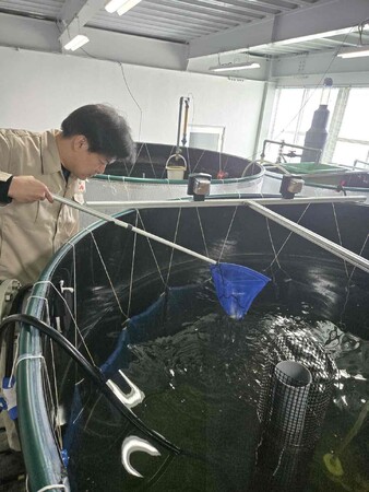 瀬戸内の海産物を守りたい！一級建築士が陸上エビ養殖に挑戦