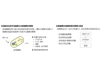 水素細菌によるCO2とH2を原料とする革新的なものづくり技術の開発」を