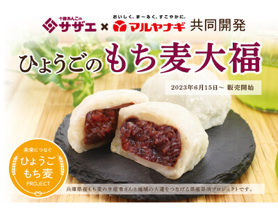 マルヤナギ×十勝あんこのサザエ　“ひょうごのもち麦大福”を共同開発　6/15～県内3店舗で数量限定販売