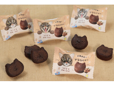 【新商品】「ねこねこ」より沖縄・西表島産の黒糖を使用したねこ型のスイーツ『沖縄黒糖のブラウにゃー』を新発売！イリオモテヤマネコの限定パッケージで登場。公式SNSでプレゼントキャンペーンも開催！