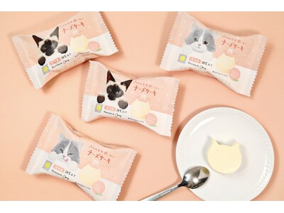 【夏の桃スイーツ】「ねこねこ」より“にゃんともおいしい”シリーズの新フレーバーが登場！フレッシュな桃と爽やかなクリームチーズの味わいを楽しめる、ねこの形の『にゃんともおいしいチーズケーキ 桃』を新発売
