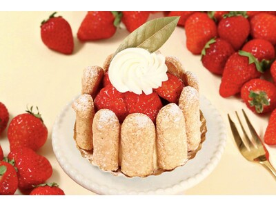 【苺が主役のご褒美シャルロット】「パティスリーピネード」よりフレッシュな国産苺＆まろやかなバニラムースで仕上げた『苺のシャルロット』が新登場！“サクッ＆ふんわり”食感を楽しめる春の新作スイーツ！