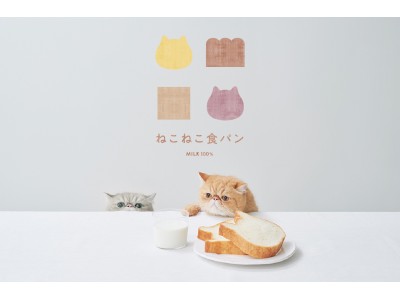 ねこの形の高級食パン専門店「ねこねこ食パン」が愛知県・豊田市に登場！