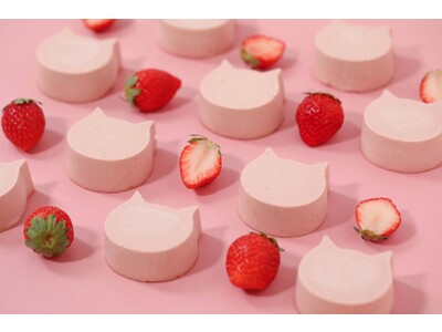 【12/1発売！冬ギフトにおすすめの商品】”ねこ”をモチーフとしたフードショップ「ねこねこ」より、手のひらサイズのねこの形のチーズケーキ「にゃんチー　いちご」が期間限定で登場