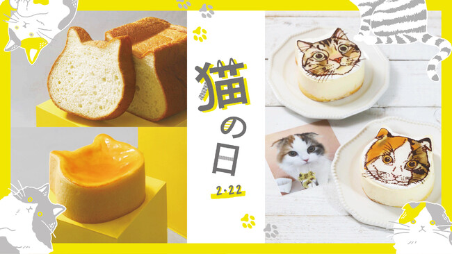 【1年に1度の"2/22猫の日"限定企画】愛ねこチーズケーキが当たるTwitterキャンペーン 結果次第で割引率が変わるお得なセールを開催！毎日引けるアプリくじなど"ねこ"づくしの限定企画を実施のメイン画像